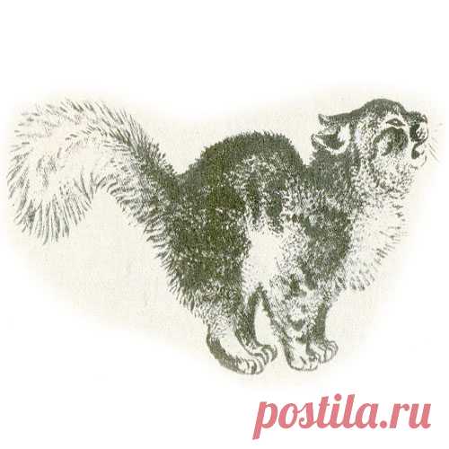 КРАСНАЯ ГОРКА
