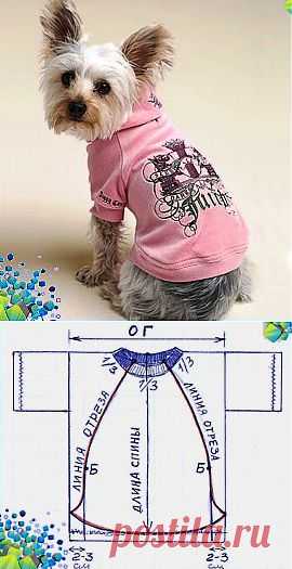 Шьём одёжку для собак..