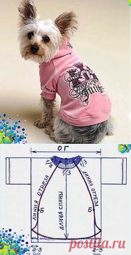Шьём одёжку для собак..