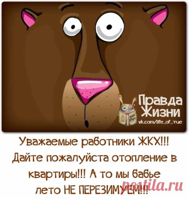 Позитивные фразочки в картинках