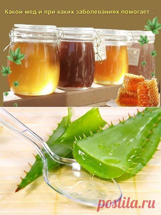 Алое и мёд