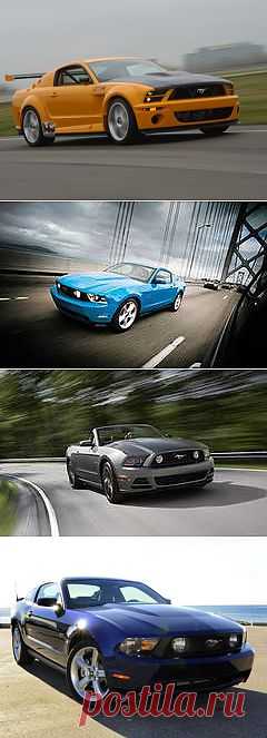 Фото Ford Mustang GT: 227 тыс изображений найдено в Яндекс.Картинках