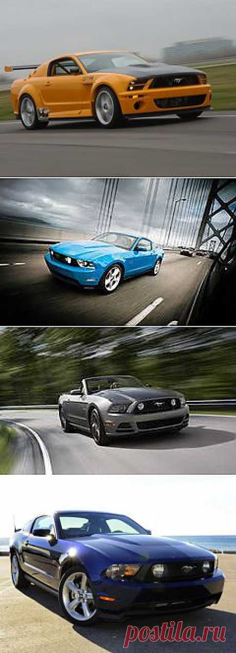 Фото Ford Mustang GT: 227 тыс изображений найдено в Яндекс.Картинках