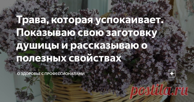 Трава, которая успокаивает. Показываю свою заготовку душицы и рассказываю о полезных свойствах С нетерпением ждала лета, чтобы сделать свежую заготовку на весь год. Душица выручает меня в самых разных ситуациях. И, прежде всего, когда надо успокоиться и вовремя уснуть.  Завариваю её после напряжённого рабочего дня, если чем-то расстроена, есть дискомфорт в области сердца. А ещё лично мне душица принесла облегчение во время 