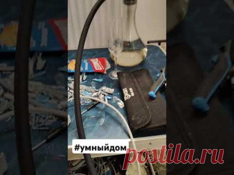 Самая классная и любимая работа! #умныйдом