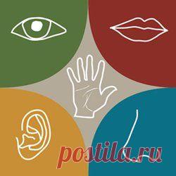 Тест Кто вы: визуал, аудиал или кинестетик?