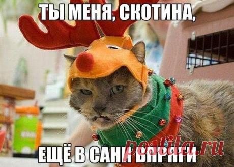 Интересные новости