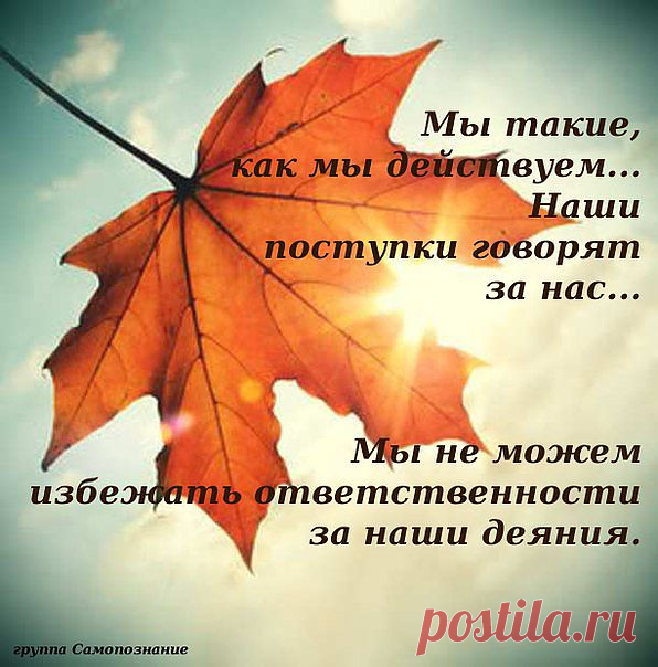 Подумай, прежде чем делать...