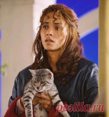 Ученые выяснили, что мурчание кошек продлевает человеческую жизнь Оптимальным, по мнению научных сотрудников, является мурчание с частотой от 25 до 150 герц.