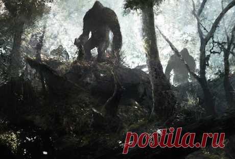 Bigfoot
(Изображение JPEG, 570 × 387 пикселов)