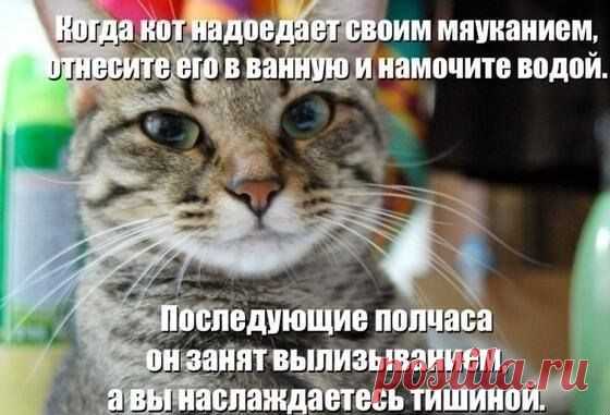 (+1) тема - Давайте улыбнемся ! | ОБОРЖАКА ;)