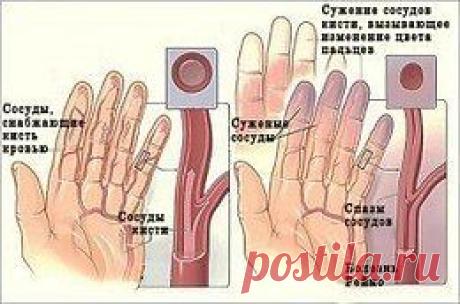 Всё о здоровье
