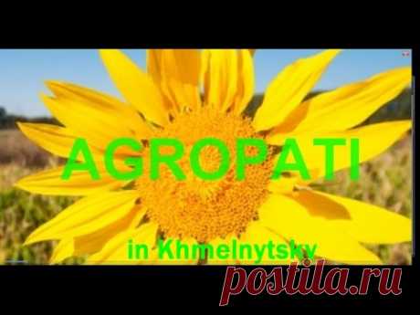 #AGROPATI#AgroNews! - YouTube