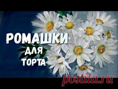Ромашки из вафельной бумаги / Сhamomile waffle paper - YouTube