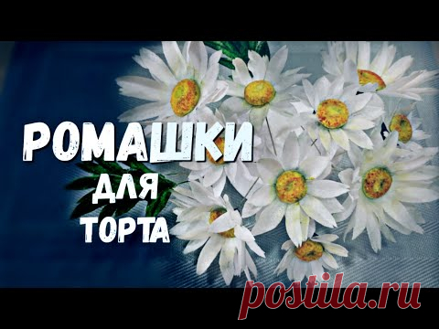 Ромашки из вафельной бумаги / Сhamomile waffle paper - YouTube