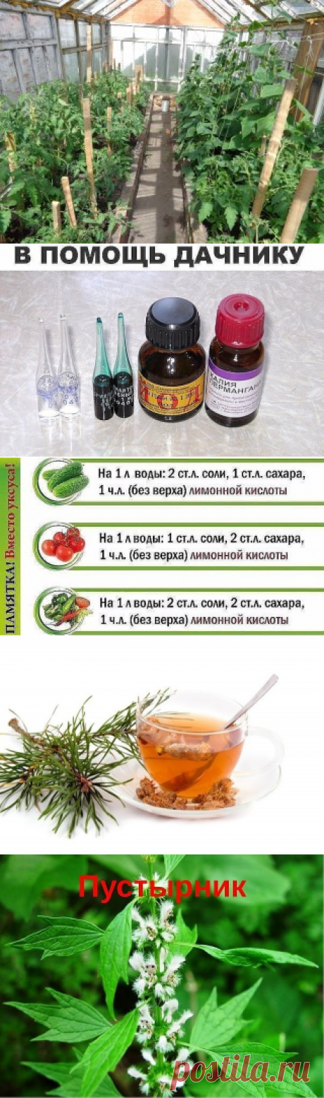 (47) Одноклассники