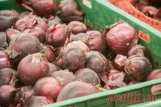 Как сохранить урожай до весны: хитрости, о которых вы не догадывались. Корнеплоды дольше остаются свежими, если их не мыть, а аккуратно очистить от земли и просушить.