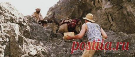 Призвание быть актёром / История цивилизаций!