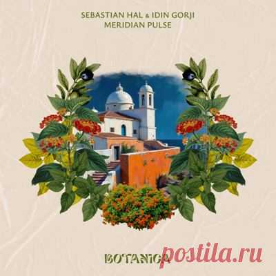Sebastian Hal, Idin Gorji - Meridian Pulse
