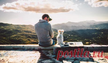 Мой брат принес домой новенький собачий ошейник, пахнущий кожей и с магазинной биркой. — Так, — сразу все поняла мама. — Этого не будет никогда! — строго сказала она. — Собаки еще только в нашем доме не хватало!..