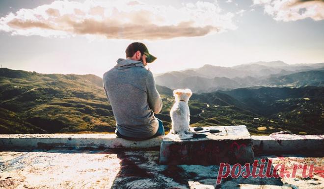 Мой брат принес домой новенький собачий ошейник, пахнущий кожей и с магазинной биркой. — Так, — сразу все поняла мама. — Этого не будет никогда! — строго сказала она. — Собаки еще только в нашем доме не хватало!..