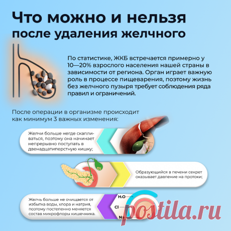 Жизнь без желчного: диета и рекомендации | Гастроэнтеролог Садыков | Дзен