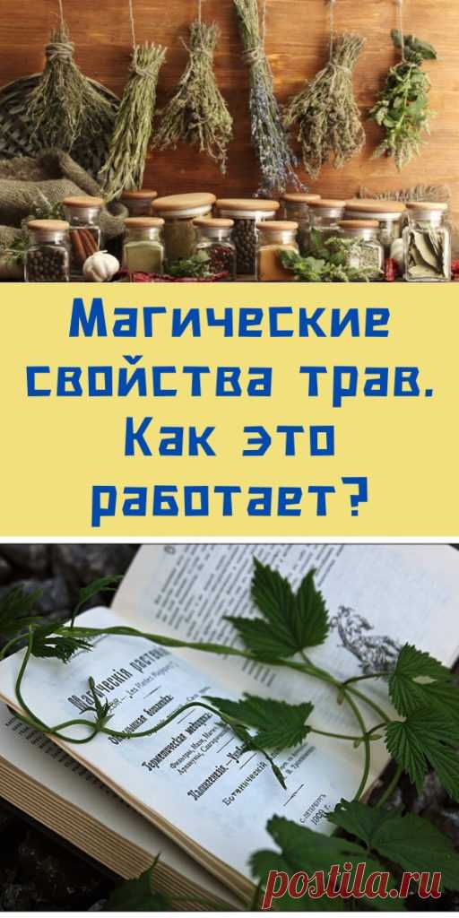 Магические свойства трав. Как это работает?