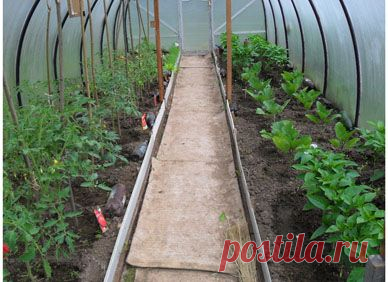 Парник из пластиковых труб своими руками - 7 Мая 2012 - Своими руками, мастер класс, фото, поделки, дача, 2014