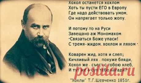шевченко о хохлах