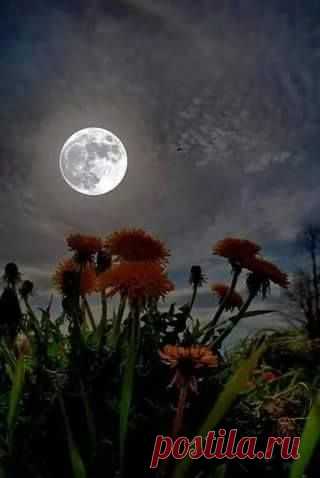 (7) Facebook