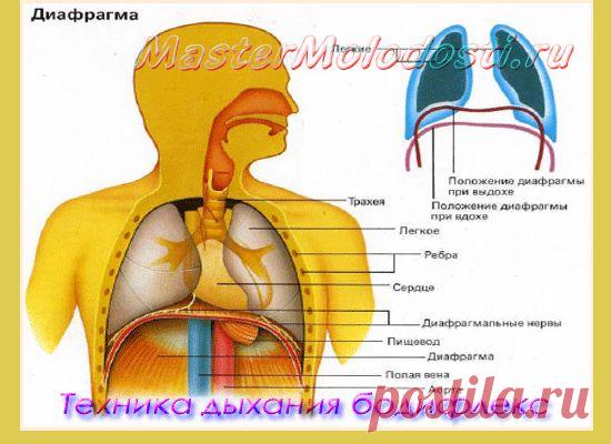 Техника дыхания бодифлекс | Как сохранить молодость