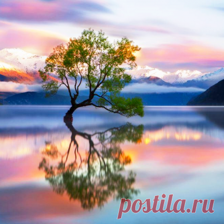 красота