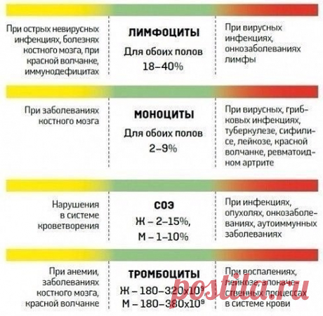 На заметку
О чем расскажет анализ крови