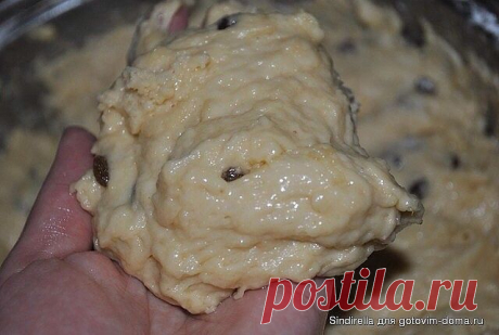 Александрийское тесто (для куличей)

Совершенно потрясающие куличи! Сладкие, нежные, мягкие... Вкуснее я не ела в жизни!
Рецепт бабушкин, готовит она по этому рецепту уже несколько десятков лет.

С порции получается очень много куличей, смело делите количество на 2, 3, 4... 

1 л. топленого молока;
1 кг. сахара;
500 гр. слив. масла;
10 яиц;
3 желтка;
150 гр. свежих дрожжей.
Яйца слегка взбить, масло порезать кусочками, смешать все продукты с теплым молоком и оставить в теп...