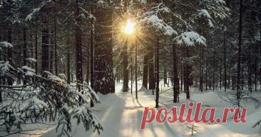 Гороскоп на неделю с 8 по 14 декабря 2025 года для всех знаков зодиака. - Журнал Амром Познакомьтесь с гороскопом на неделю с 8 по 14 декабря 2025 года для всех знаков зодиака и узнайте, как сложится для вас эта неделя.