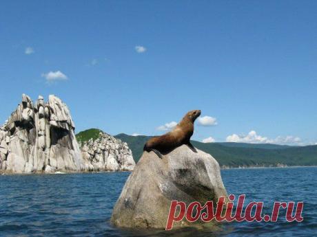 (+1) тема - Завораживающая природа Приморского края ! | НАУКА И ЖИЗНЬ