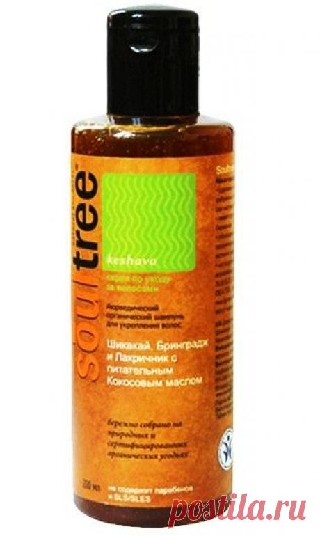 Шампунь против выпадения волос с брингараджем | jiznelub.com.ua
Шампунь против выпадения волос ТМ Soultree останавливает потерю волос, восстанавливая поврежденные луковицы, предотвращает раннюю седину и посеченные кончики
Шампунь восстанавливающий Soultree содержит смесь индийских лечебных трав, кокосовое масло, лакричник и алоэ вера, подобранную согласно аюрведе...