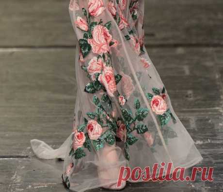 Simply Classy : Photo