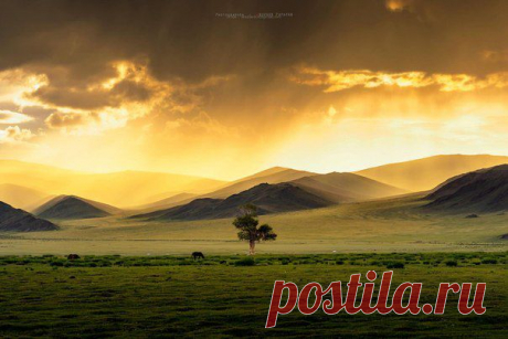 Живая природа