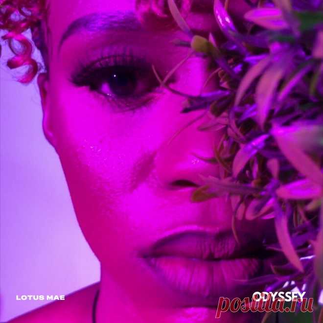 Lotus Mae - Odyssey (Extended Mix)