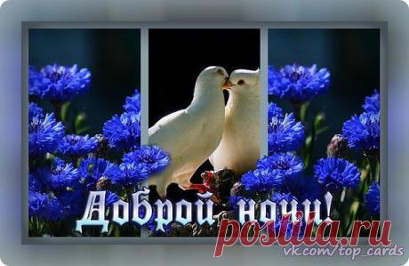 *Надежда*: Я благодарна каждому человеку, с которым столкнула меня жизнь. Одним — за помощь и поддержку, другим — за пример, третьим — за урок. А нескольким — просто за то, что они есть... СПАСИБО!!!