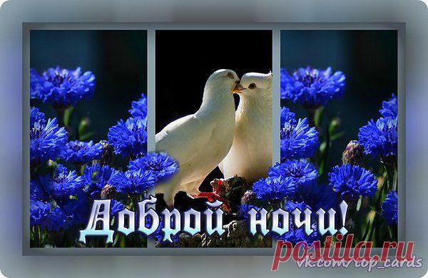 *Надежда*: Я благодарна каждому человеку, с которым столкнула меня жизнь. Одним — за помощь и поддержку, другим — за пример, третьим — за урок. А нескольким — просто за то, что они есть... СПАСИБО!!!