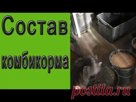 Ещё раз о комбикорме. Состав комбикорма