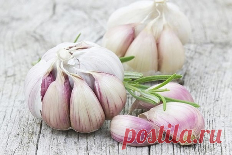 Осень - пора вирусов. Чеснок: защита или вред? | Все об Осознанной Красоте
