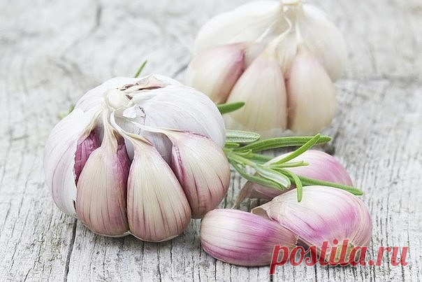 Осень - пора вирусов. Чеснок: защита или вред? | Все об Осознанной Красоте