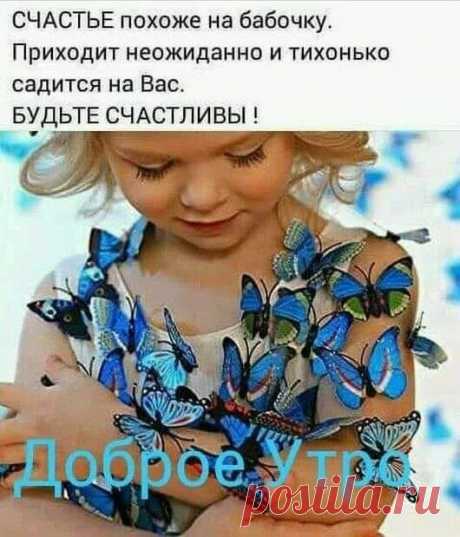 103921363_966783517126295_7461367166772539711_n.jpg (530×619)