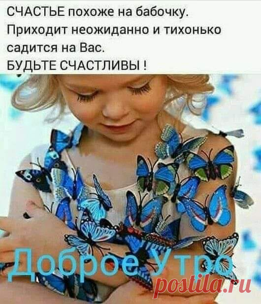 103921363_966783517126295_7461367166772539711_n.jpg (530×619)