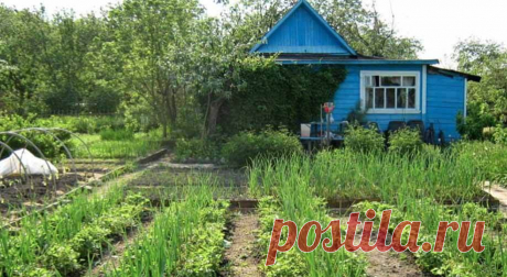 Agro- портал о садоводстве