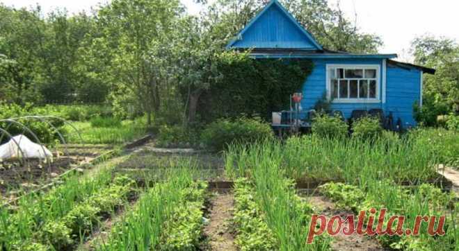 Agro- портал о садоводстве