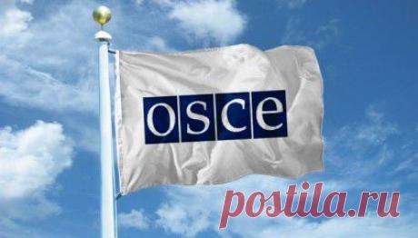 Швейцария созывает спецзаседание ОБСЕ из-за ситуации в Украине | Newsoboz